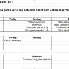 assistenternas aktivitetsschema